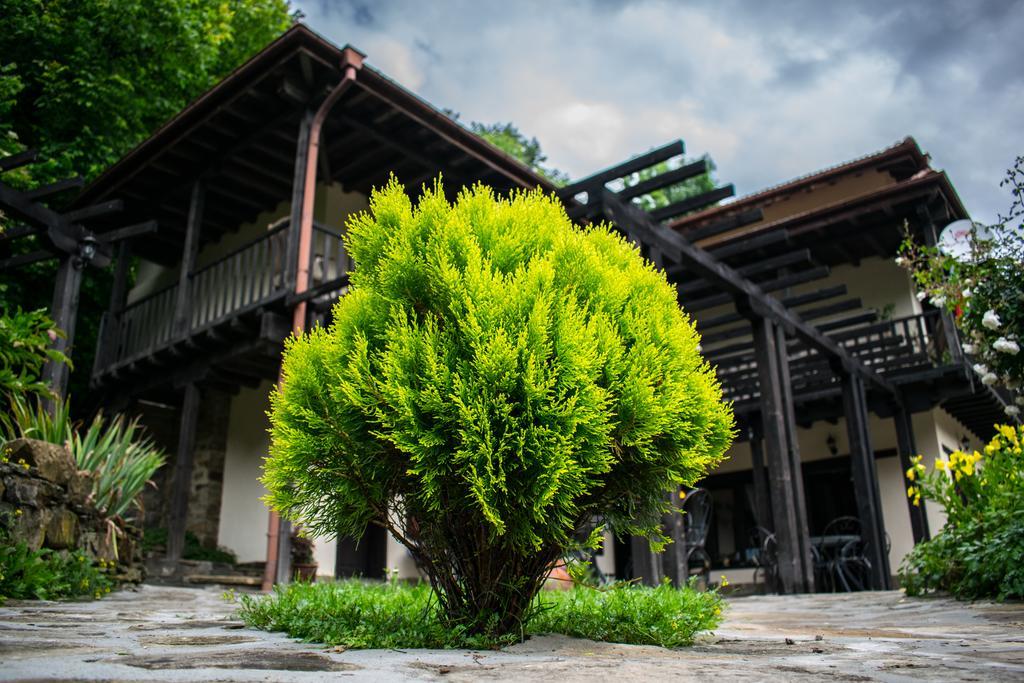Guest House Verbena Apriltsi  Dış mekan fotoğraf