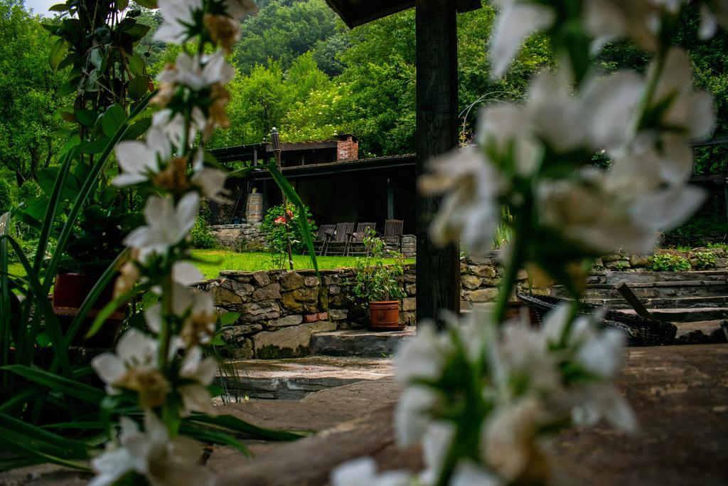 Guest House Verbena Apriltsi  Dış mekan fotoğraf